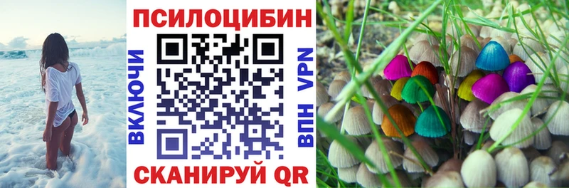 Галлюциногенные грибы Magic Shrooms  Владикавказ 