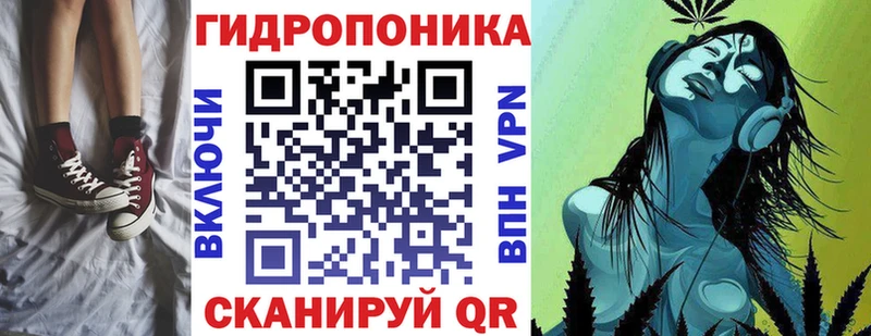 Каннабис сатива  наркота  hydra ONION  Владикавказ 